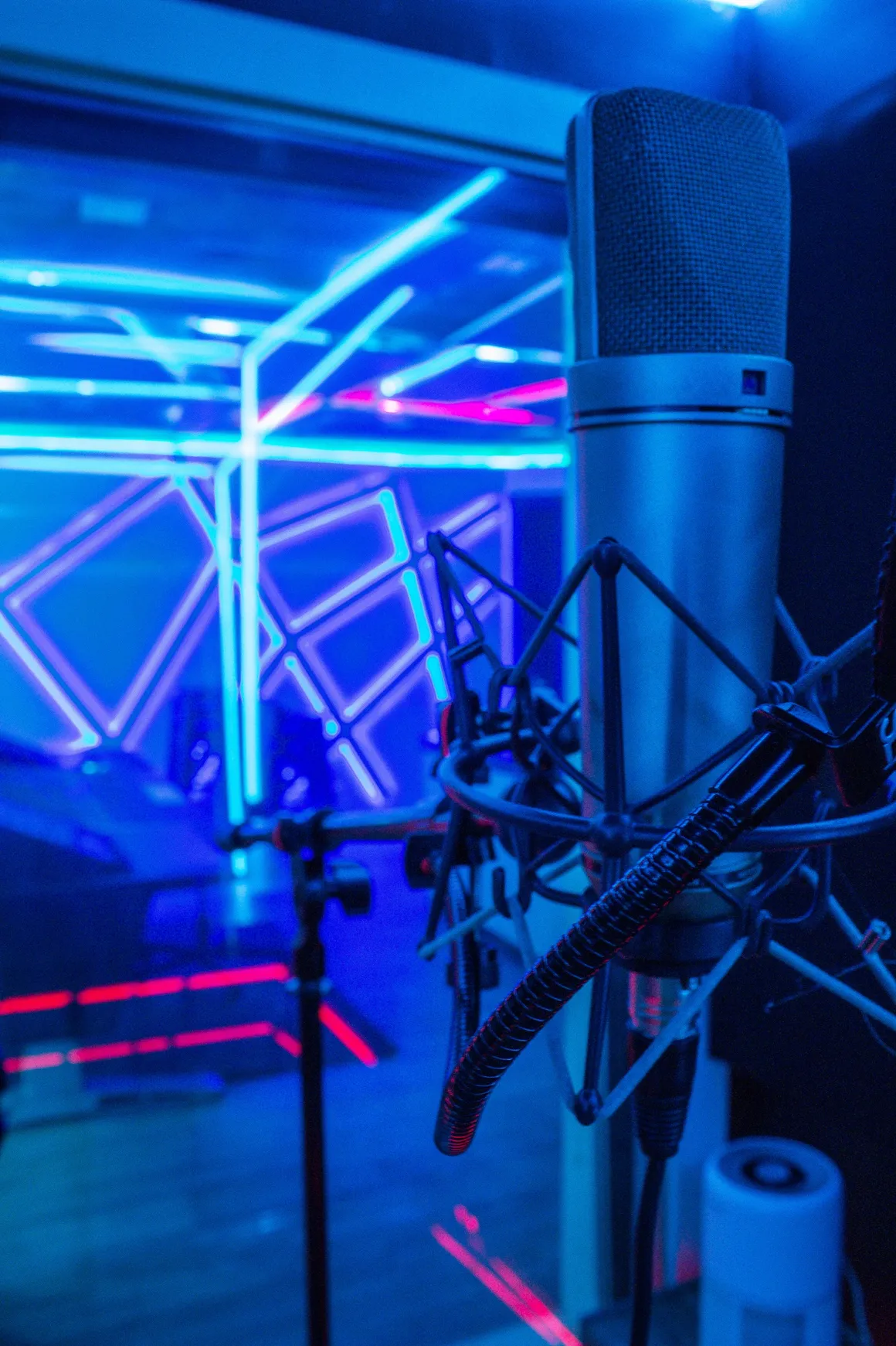 Professional Condenser Microphone for Stem Mixing