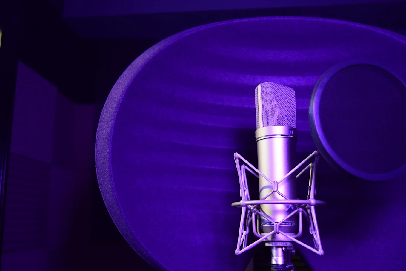 Audio Recording - Professional Condenser Microphone